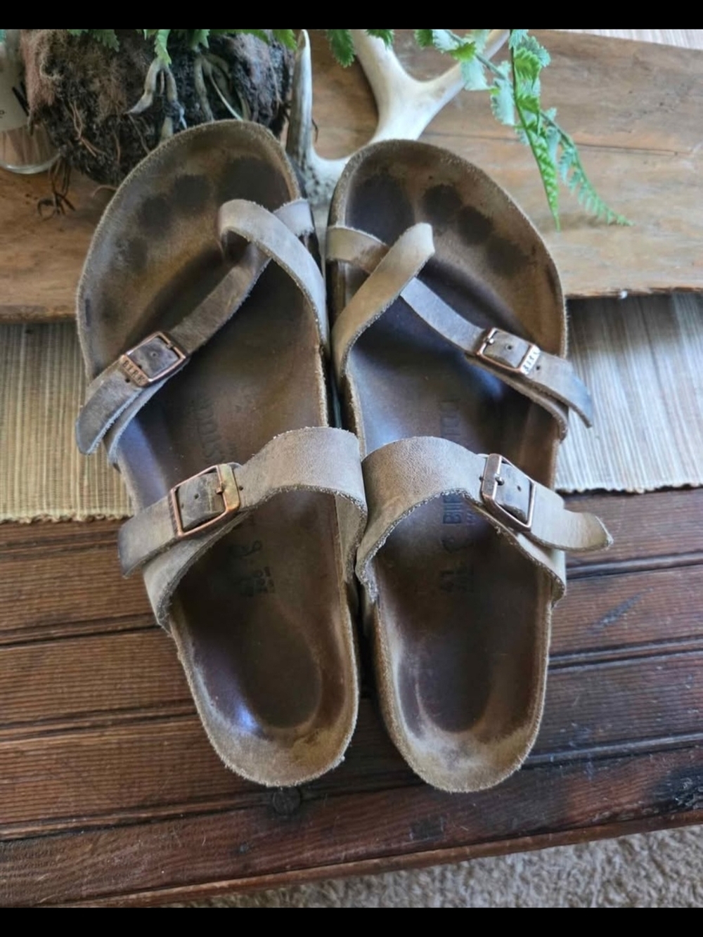 Birkenstoxk Sandals - Taupe